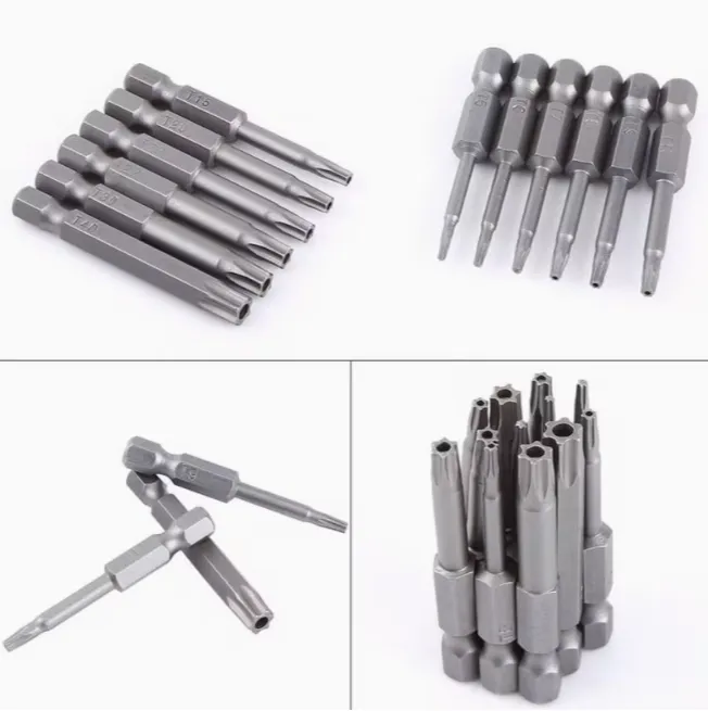 12 forets magnétiques Torx 10.webp