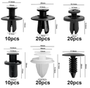 Lot 100 clips de retenue de voiture de 6 tailles